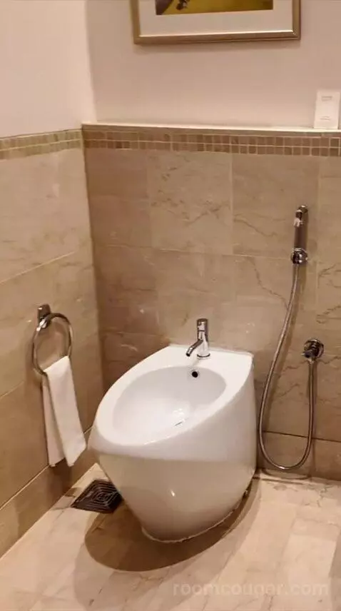 Grand King Suite (#452) bathroom picture #11