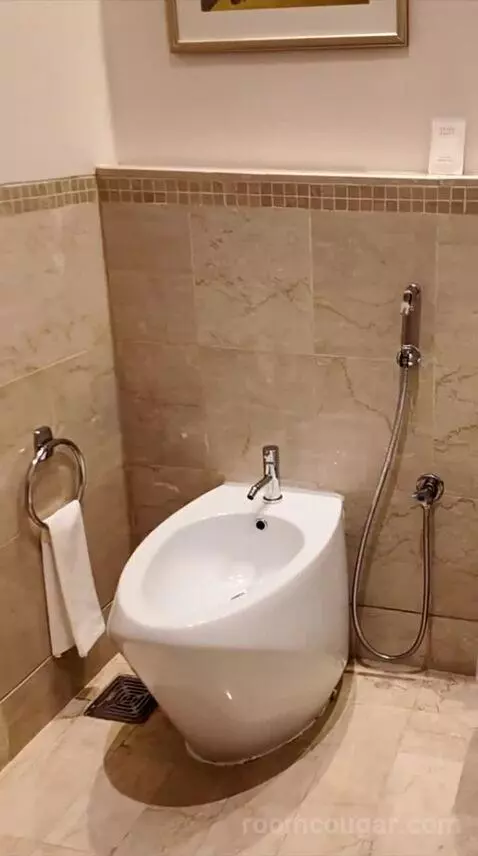 Grand King Suite (#452) bathroom picture #12