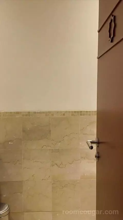 Grand King Suite (#452) bathroom picture #2