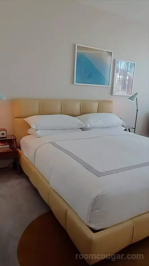 King Room with Hollywood Hills View (#905) picture #11