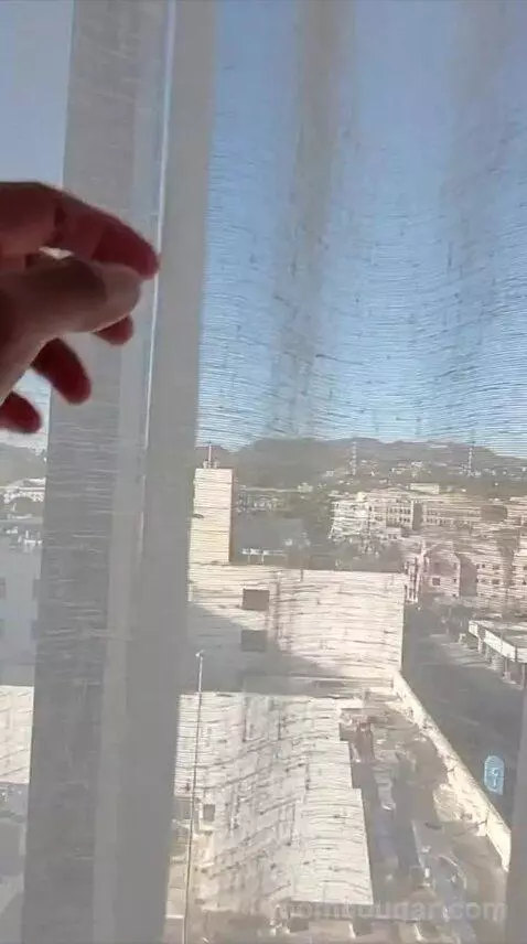 King Room with Hollywood Hills View (#905) view picture #10