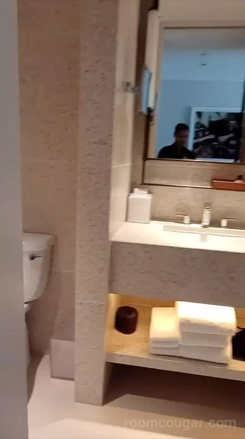 King Room with Hollywood Hills View (#905) bathroom picture #9