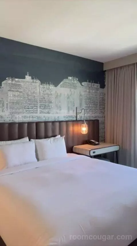 Deluxe King Room (#626) view picture #1