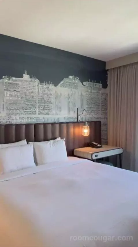 Deluxe King Room (#626) view picture #5