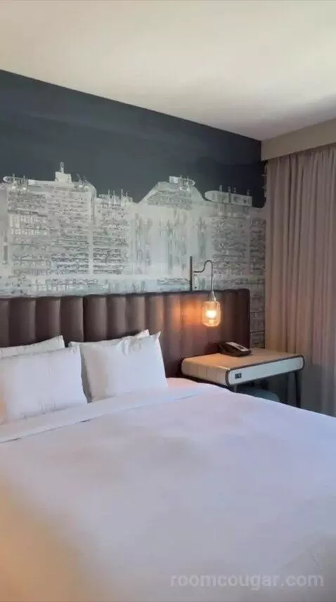 Deluxe King Room (#626) view picture #6