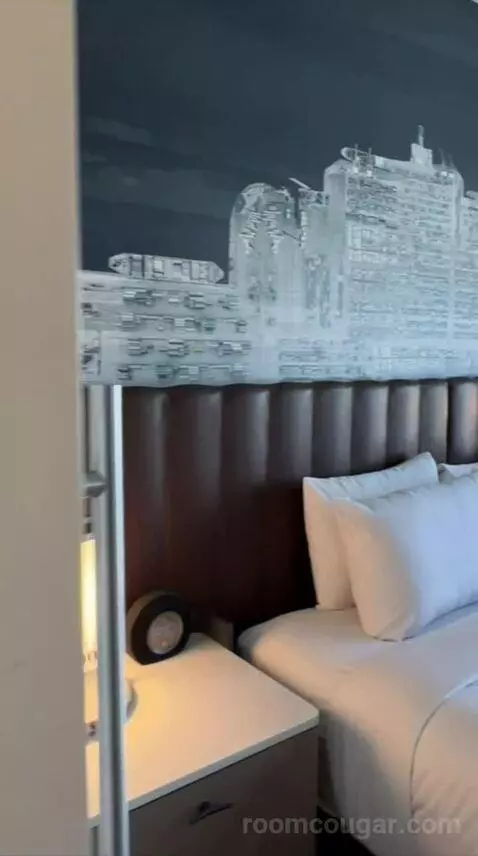 Deluxe King Room (#626) bed picture #12