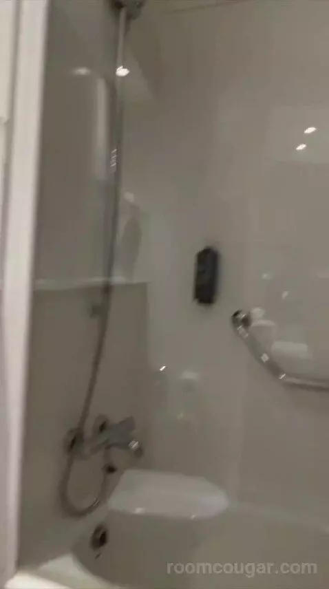 Double Room with Balcony (#409) bathroom picture #8