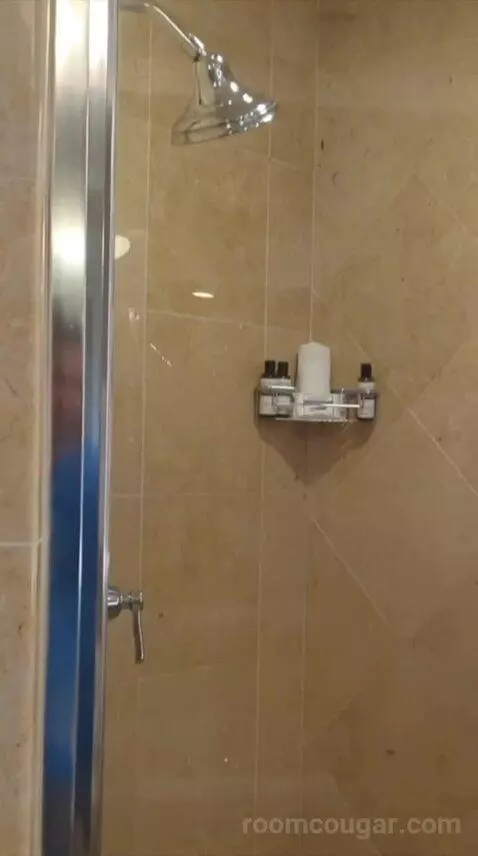 Suite (#4338) bathroom picture #9