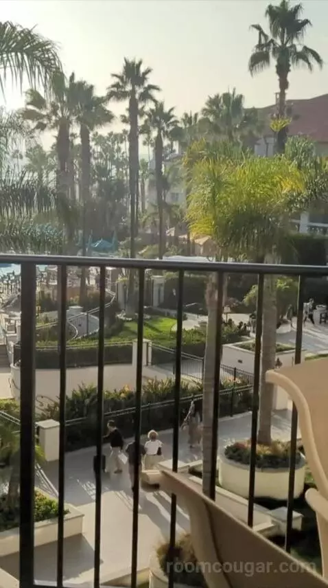Suite (#4338) view picture #3