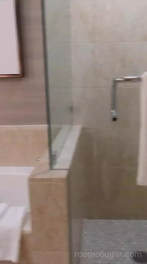 Fireside Terrace Suite (#117) bathroom picture #6