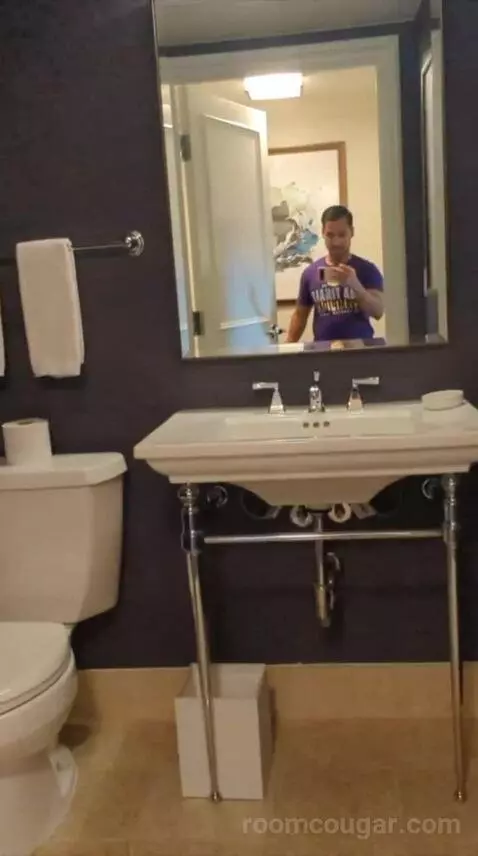 Fireside Terrace Suite (#117) bathroom picture #1
