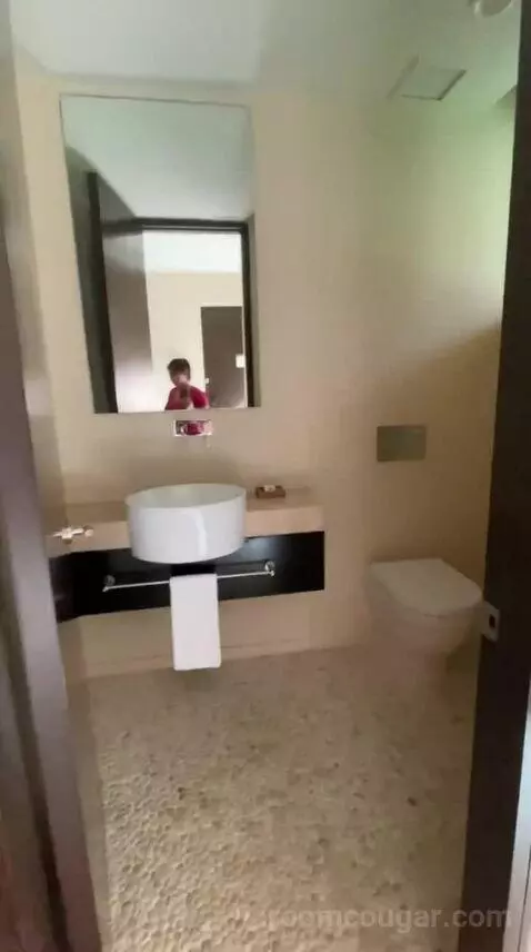 Andaz Suite (#529) bathroom picture #1