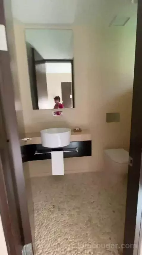 Andaz Suite (#529) bathroom picture #2