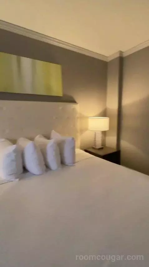 Suite, 1 King (#1011) bed picture #10