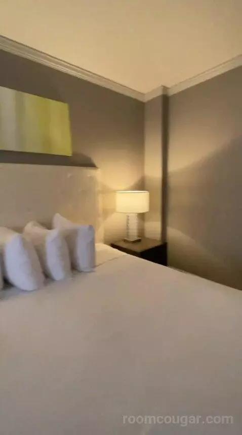 Suite, 1 King (#1011) bed picture #11