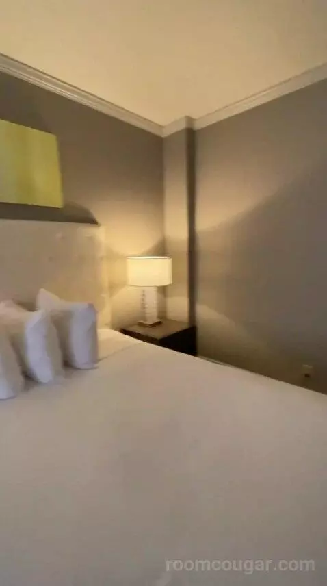 Suite, 1 King (#1011) bed picture #12