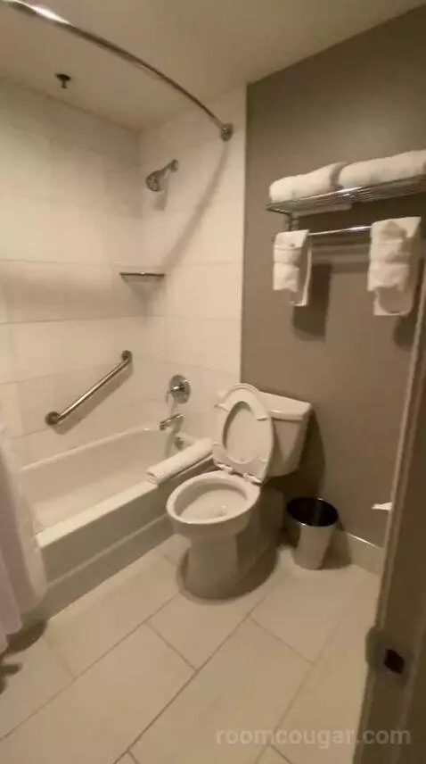 Suite, 1 King (#1011) bathroom picture #7