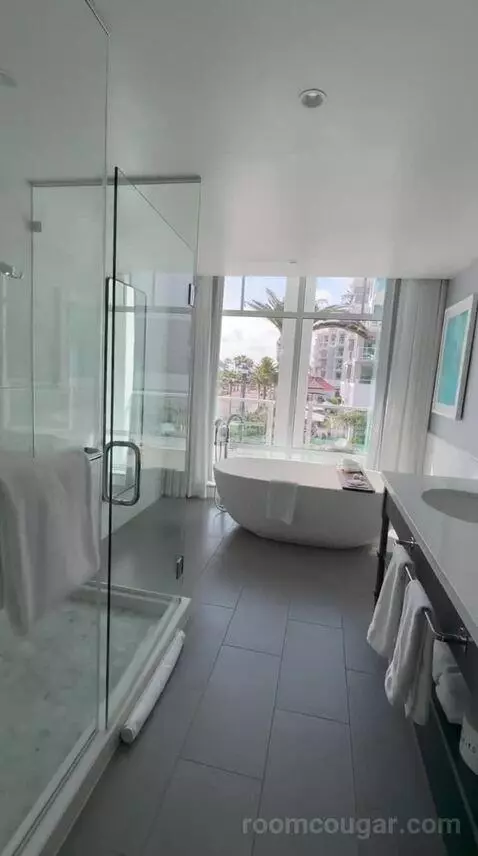 Grand Ocean Suite with Oceanfront (#301) bathroom picture #7