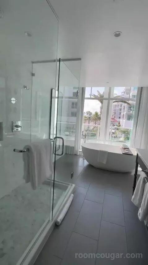Grand Ocean Suite with Oceanfront (#301) bathroom picture #9
