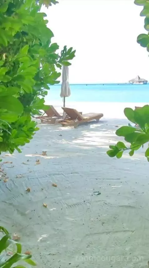 Beach Villa (#117) view picture #4