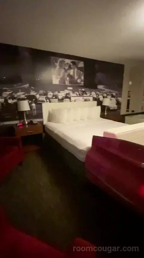 King Suite with Spa Bath (#409) bed picture #5