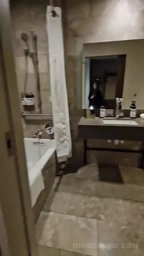 Queen Room with Two Queen Beds and Lake View - Disability Access (#432) bathroom picture #10