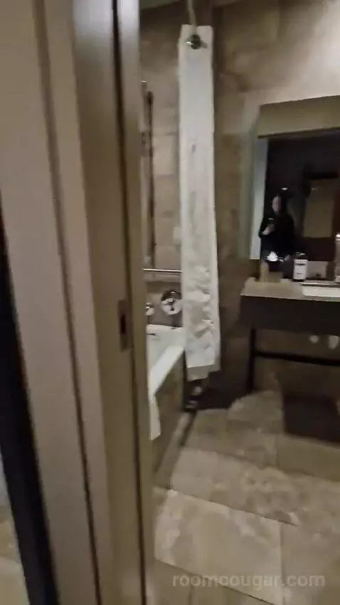Queen Room with Two Queen Beds and Lake View - Disability Access (#432) bathroom picture #11