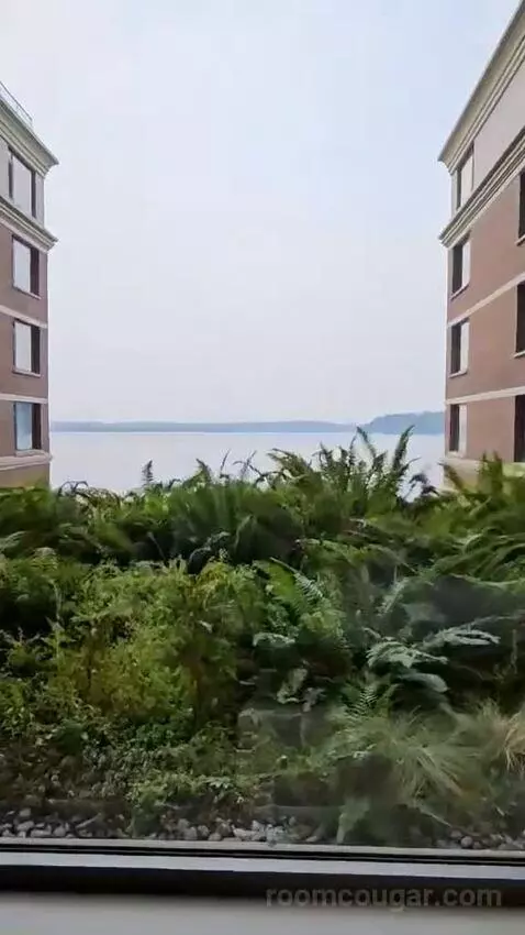 Queen Room with Two Queen Beds and Lake View - Disability Access (#432) view picture #6