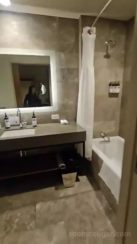 Queen Room with Two Queen Beds (#434) bathroom picture #1