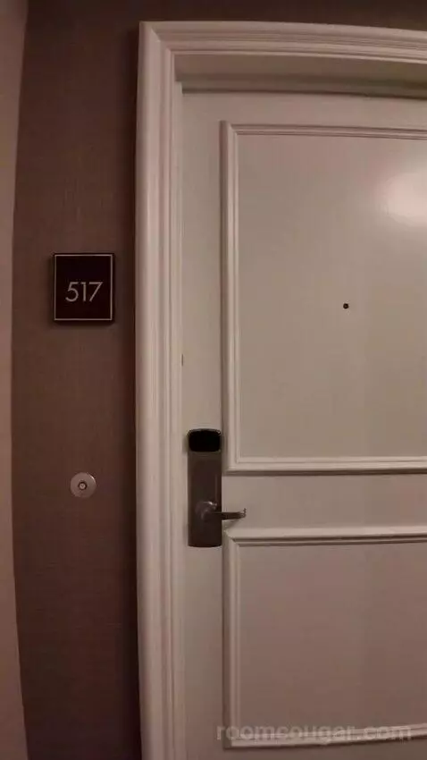 Pool Suite (#517) picture #1