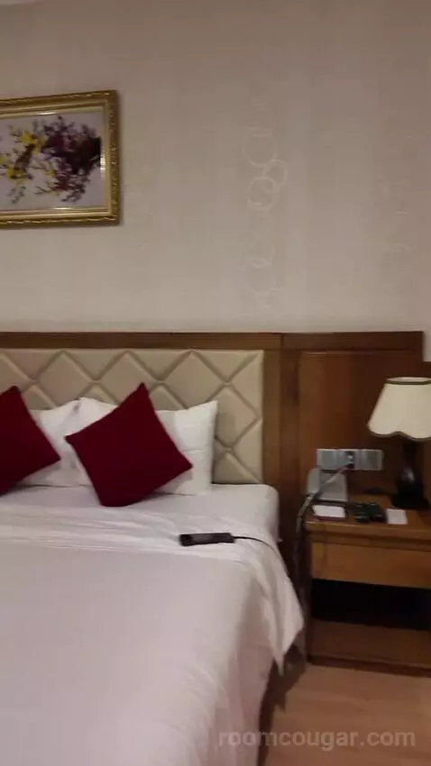 Superior Double Room (#606) picture #13