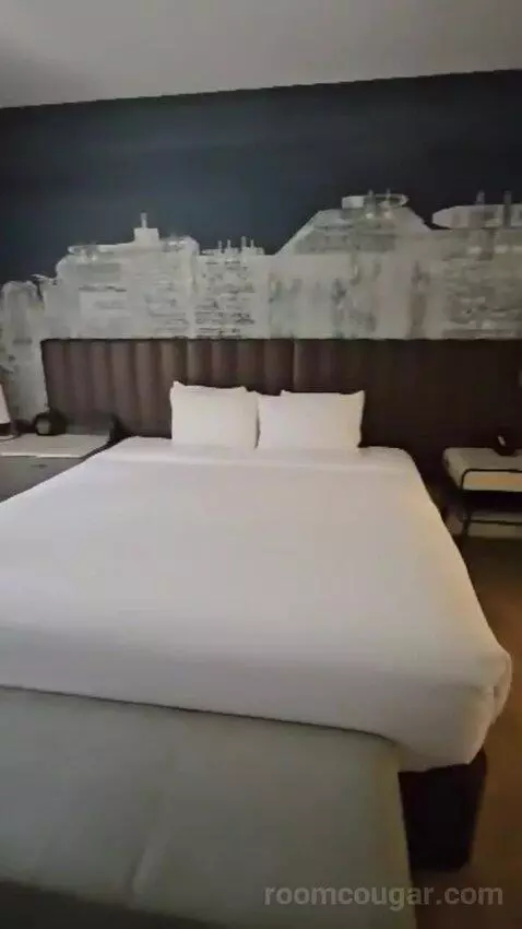 Deluxe King Room (#222) bed picture #10