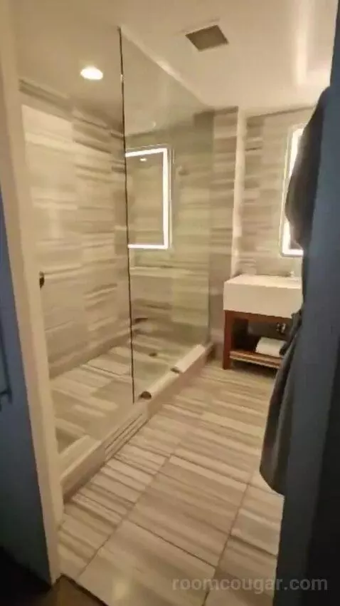 Deluxe King Room (#222) bathroom picture #1