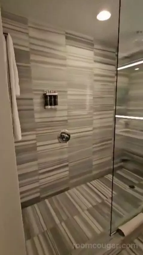 Deluxe King Room (#222) bathroom picture #3