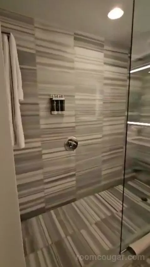 Deluxe King Room (#222) bathroom picture #4