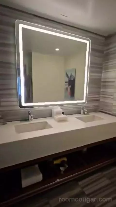 Deluxe King Room (#222) bathroom picture #7