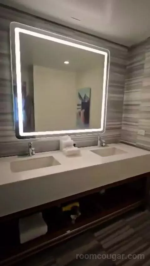 Deluxe King Room (#222) bathroom picture #8