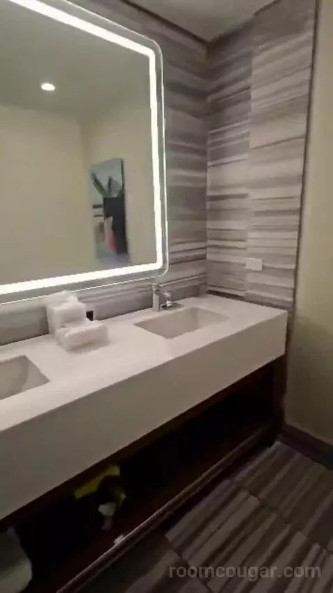 Deluxe King Room (#222) bathroom picture #11
