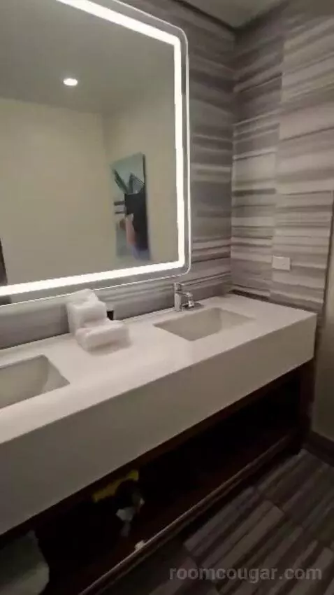 Deluxe King Room (#222) bathroom picture #12
