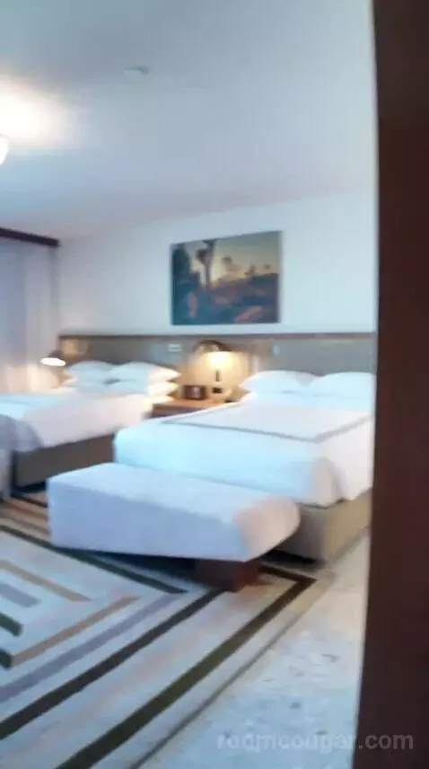 Two Queen Beds View Room with Balcony (#236) bed picture #4