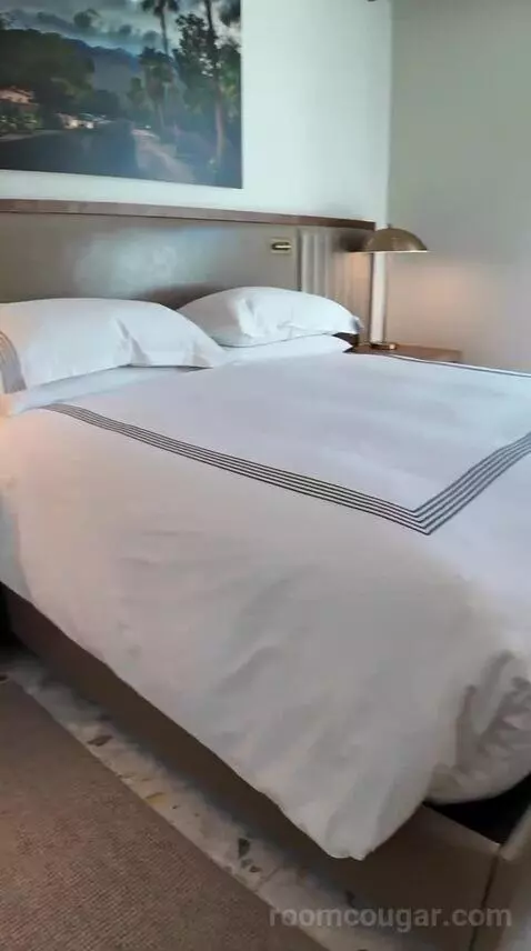 1 King Bed View Room with Balcony (#312) bed picture #8