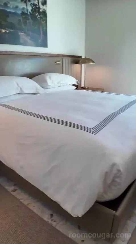 1 King Bed View Room with Balcony (#312) bed picture #9