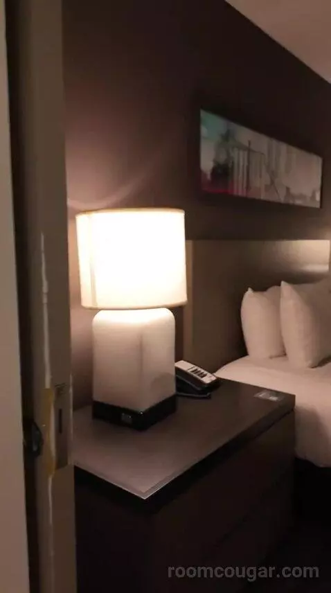 One Bedroom King Suite with Kitchen and Sofa Bed (#455) bed picture #5