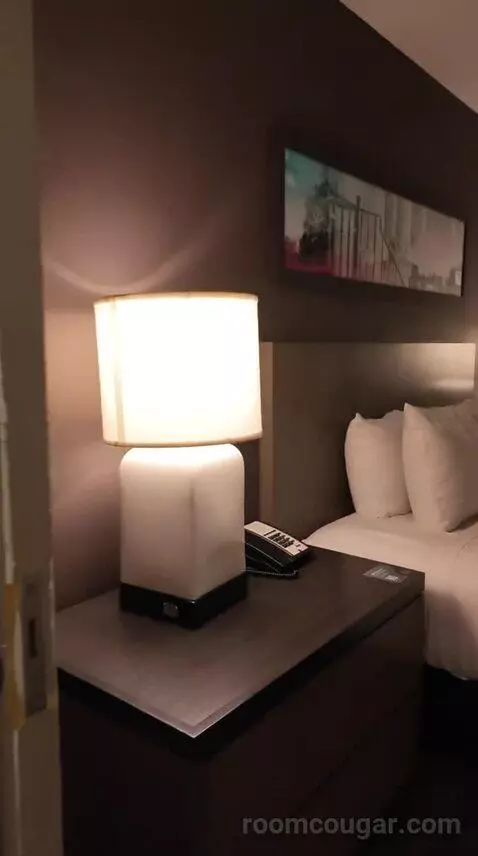 One Bedroom King Suite with Kitchen and Sofa Bed (#455) bed picture #6