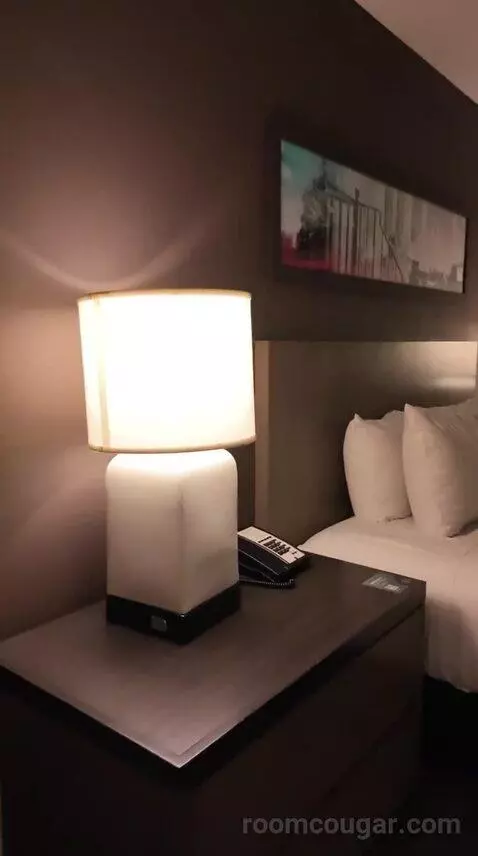 One Bedroom King Suite with Kitchen and Sofa Bed (#455) bed picture #7