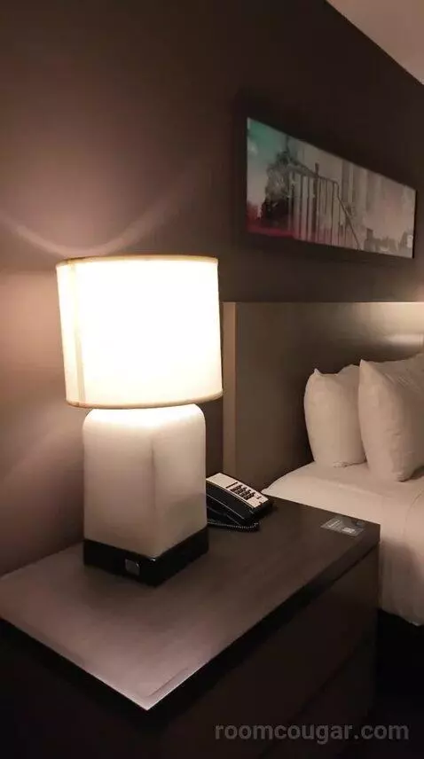 One Bedroom King Suite with Kitchen and Sofa Bed (#455) bed picture #8