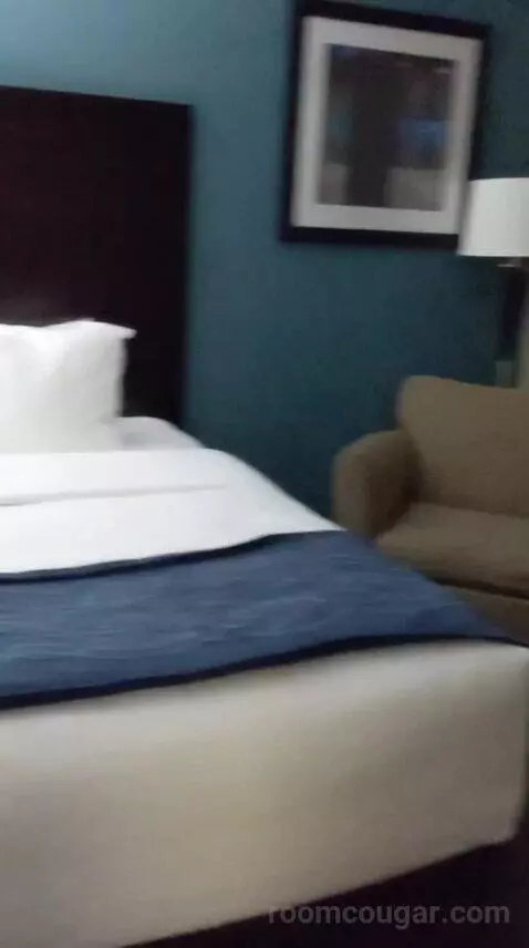 2 Queen Bed Suite with Sofa Bed (#25) bed picture #2