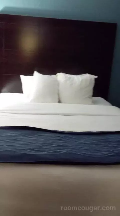 2 Queen Bed Suite with Sofa Bed (#25) bed picture #3