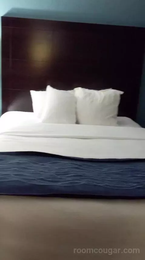 2 Queen Bed Suite with Sofa Bed (#25) bed picture #4