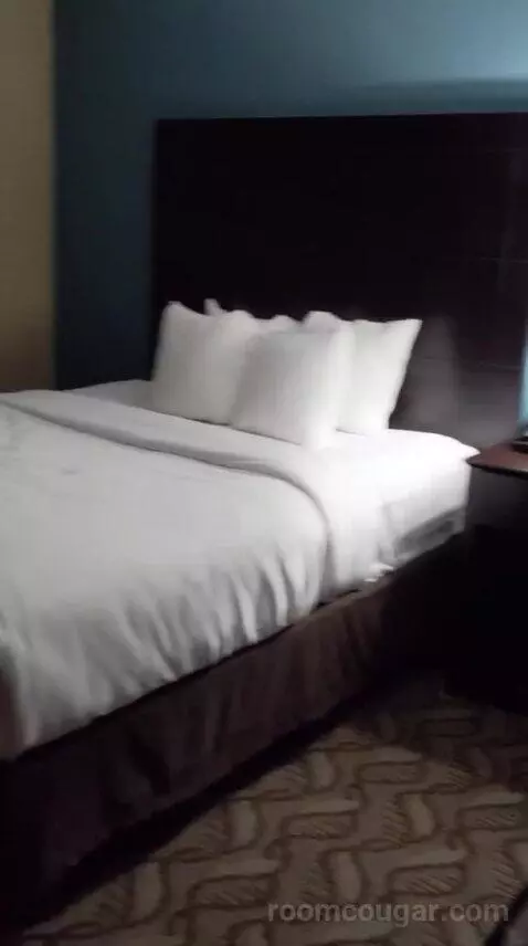 2 Queen Bed Suite with Sofa Bed (#25) bed picture #8